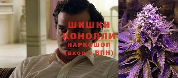 ешки Новодвинск