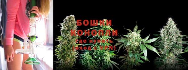 марихуана Новозыбков