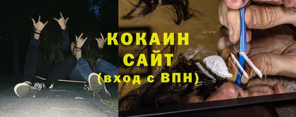 ешки Новодвинск